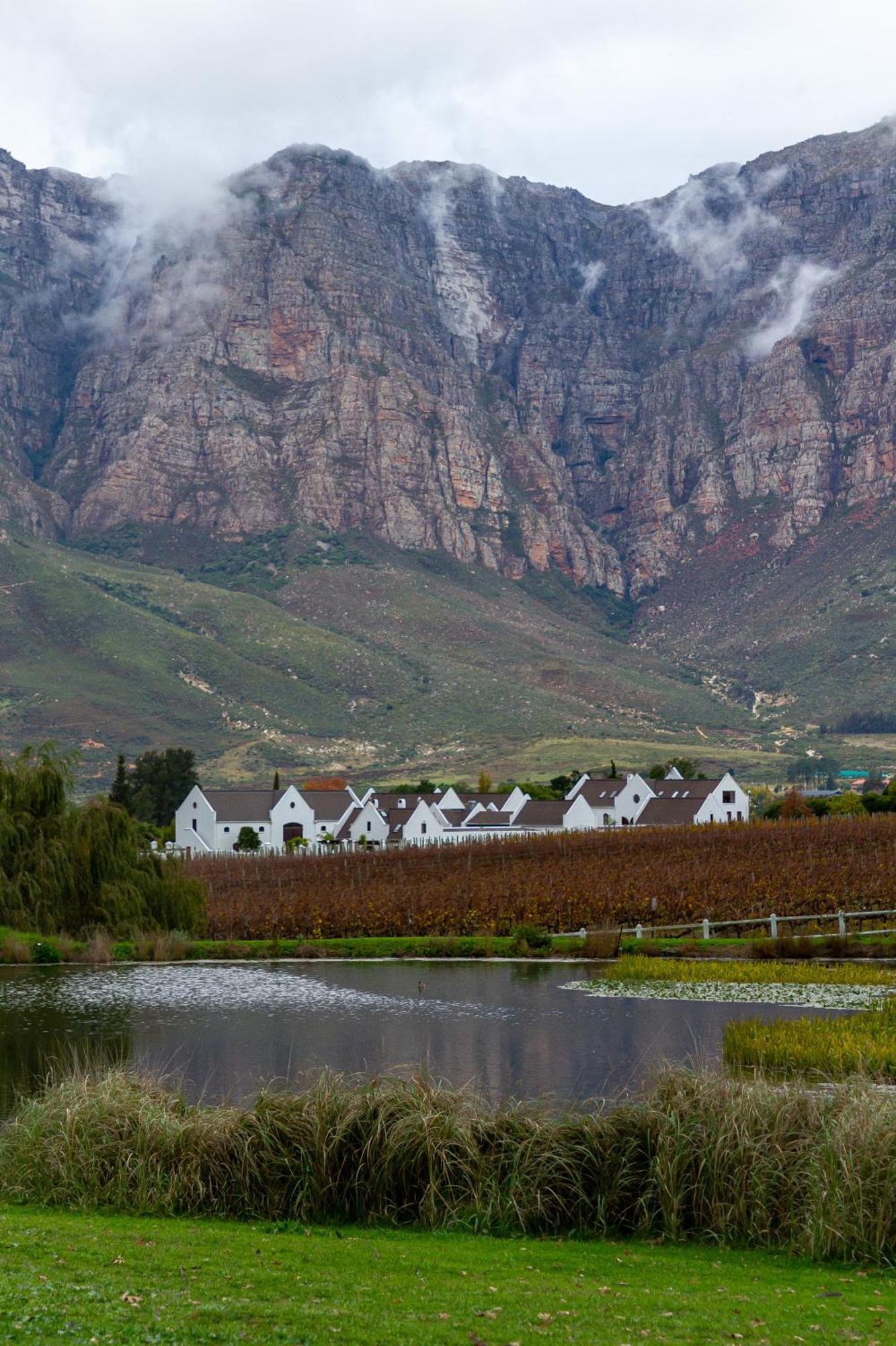 Zorgvliet Wines Country Lodge สเตลเลนบอช ภายนอก รูปภาพ