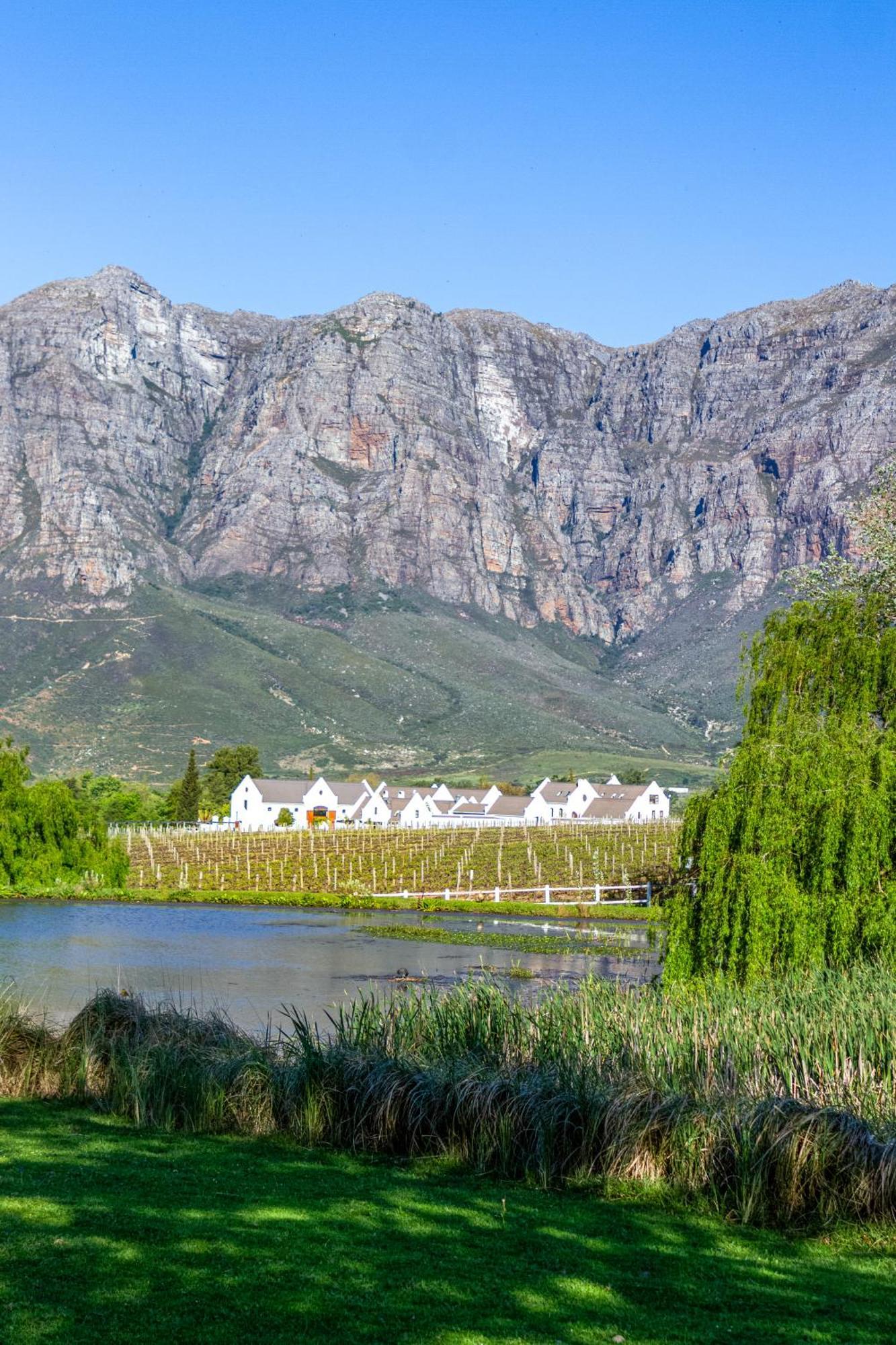 Zorgvliet Wines Country Lodge สเตลเลนบอช ภายนอก รูปภาพ