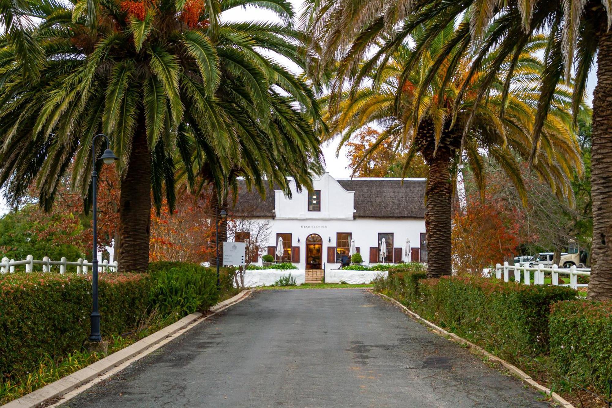 Zorgvliet Wines Country Lodge สเตลเลนบอช ภายนอก รูปภาพ