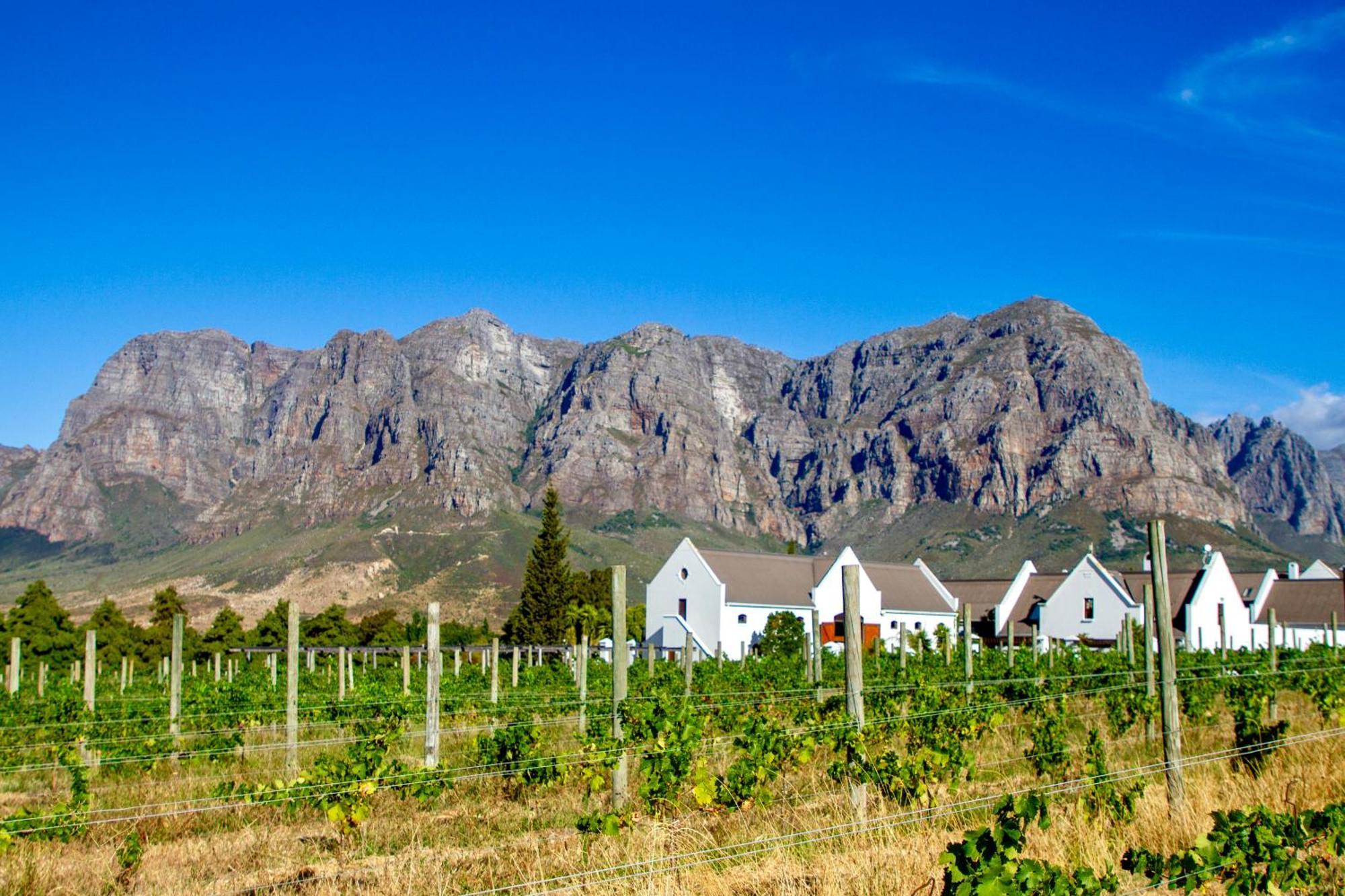 Zorgvliet Wines Country Lodge สเตลเลนบอช ภายนอก รูปภาพ