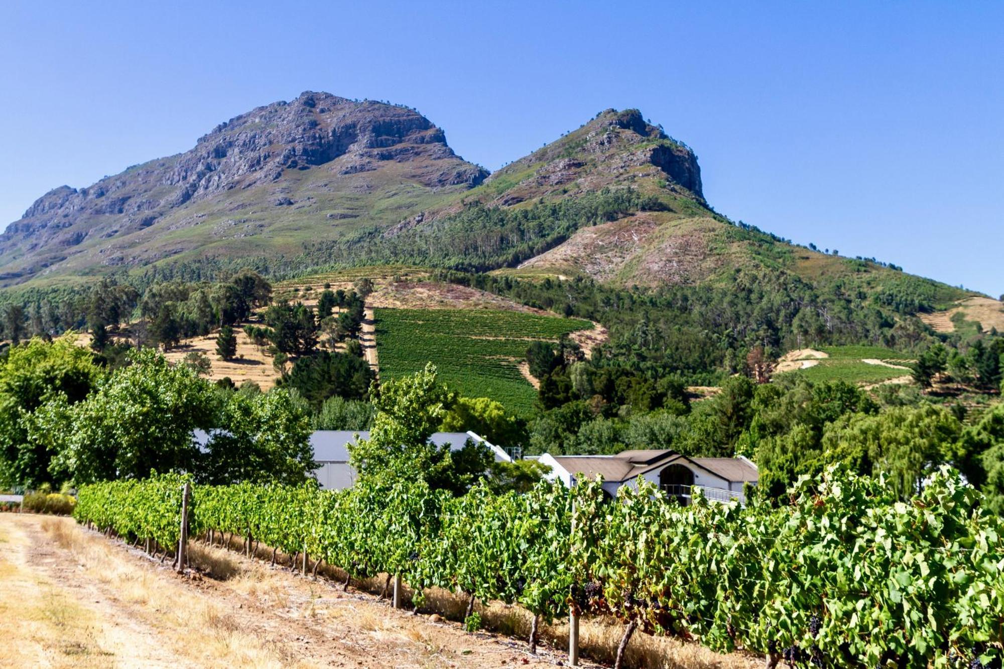 Zorgvliet Wines Country Lodge สเตลเลนบอช ภายนอก รูปภาพ